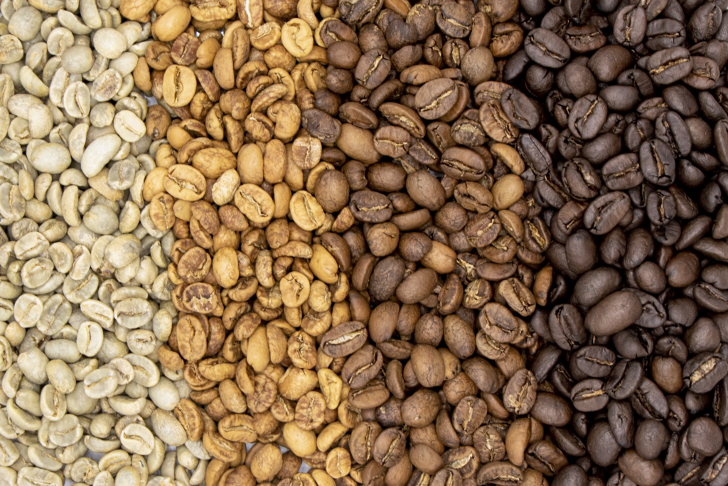 Bean evolution during roasting